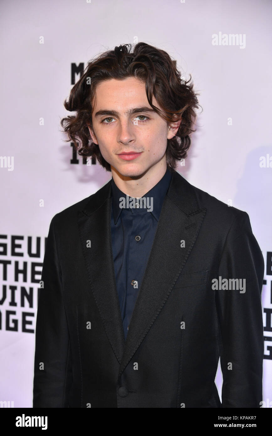 New York, USA. 13 Décembre, 2017. Timothée Chalamet participe à la Museum of the Moving Image Hommage à Annette Bening à 583 Park Avenue, le 13 décembre 2017 dans la ville de New York. Crédit : Erik Pendzich/Alamy Live News Banque D'Images