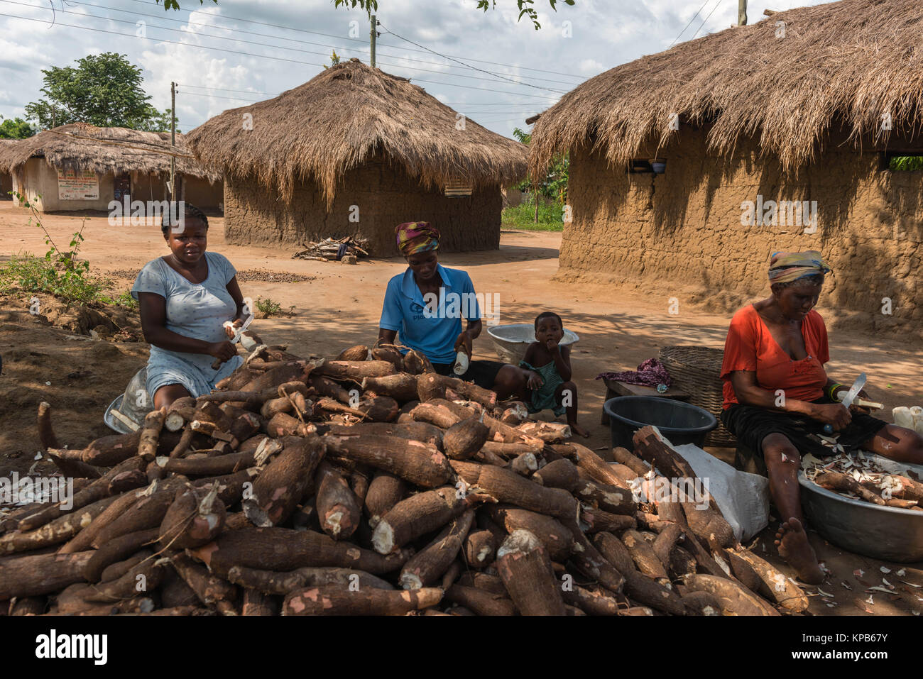 Peeling femmes manioc avec une machette, village près de Mafi-Kumase Bon, Région de la Volta, au Ghana, l'Afrique Banque D'Images