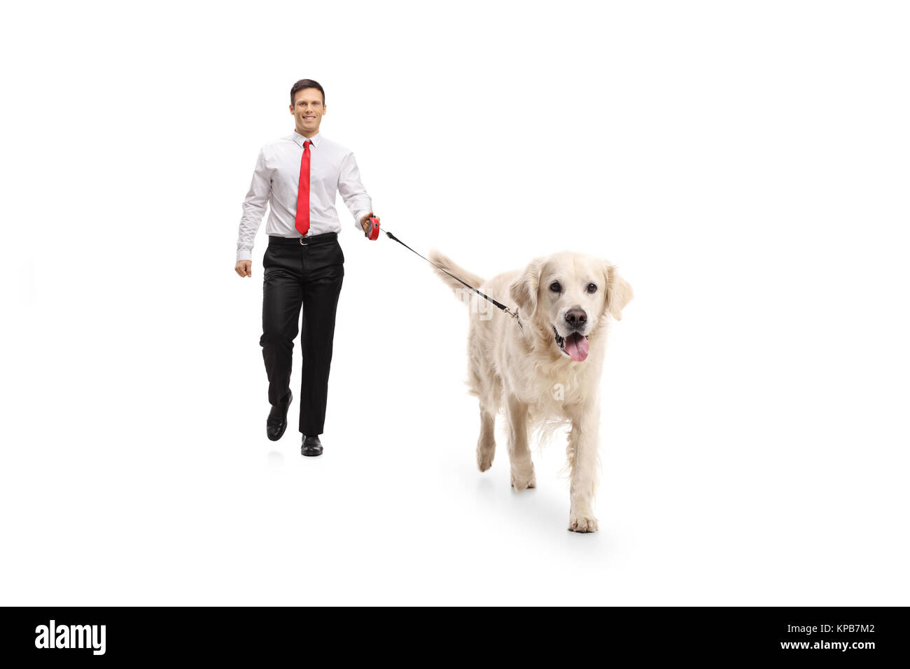 Portrait d'une élégante guy marcher un chien isolé sur fond blanc Banque D'Images