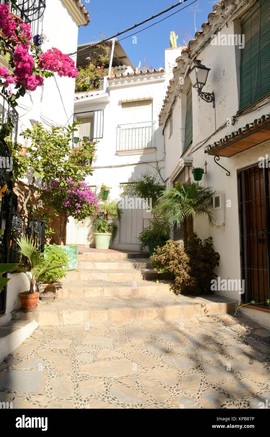 Coin pittoresque avec des fleurs dans le village andalou d'Estepona, Malaga, Espagne. Banque D'Images