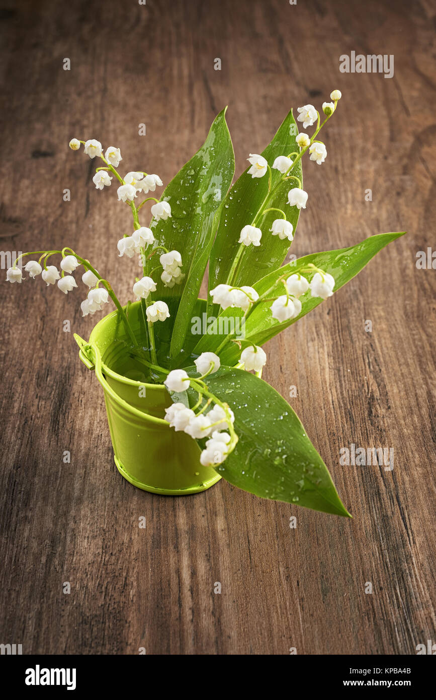 Loseup sur le muguet en fleurs vert petit panier sur bois Photo Stock -  Alamy