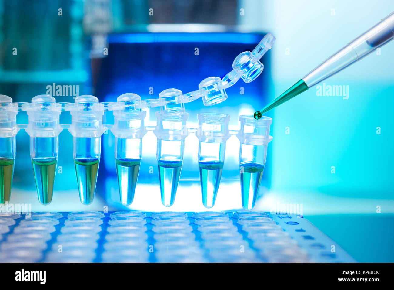 Tubes pour l'amplification d'ADN par PCR Photo Stock - Alamy