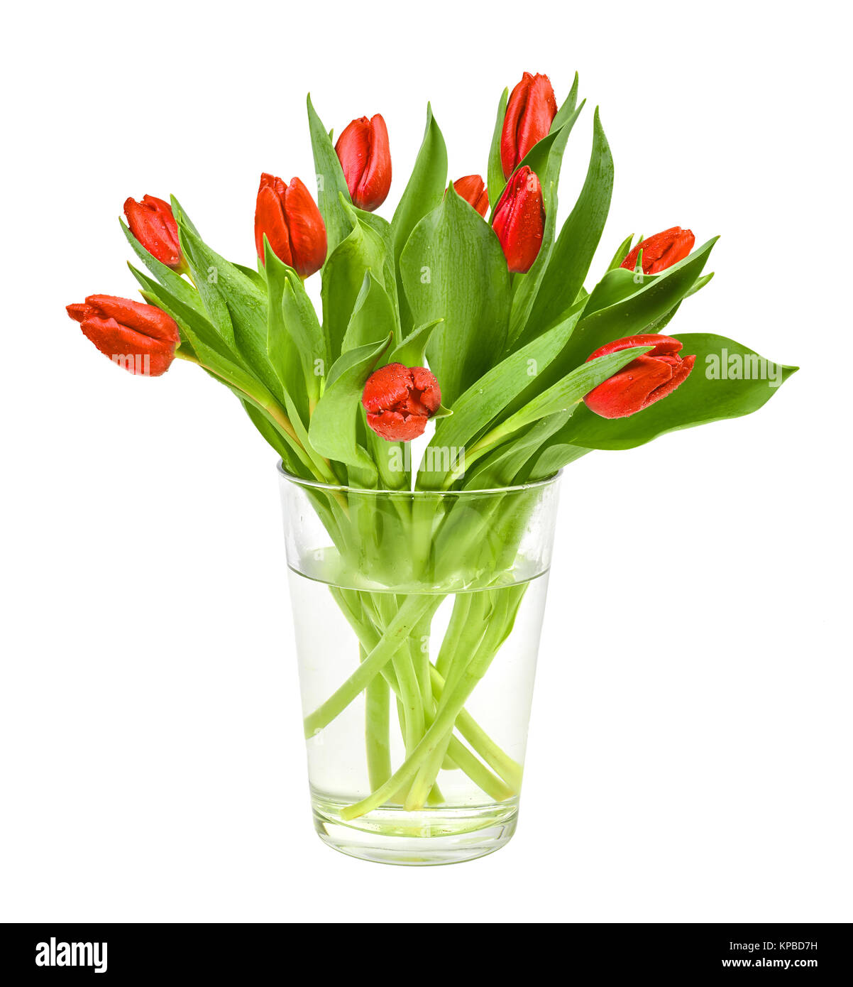 Tulipes rouges dans un vase d'argile était sur fond blanc. Carte de vœux ou élément de conception pour la fête des mères ou toute autre fête du printemps. L'espace pour votre Banque D'Images