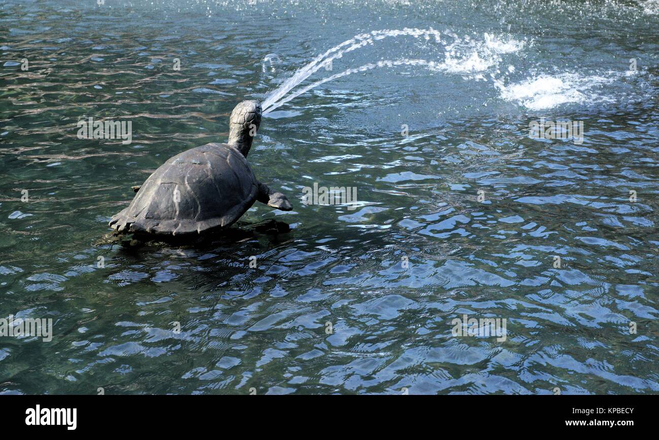 Sculpture de tortue dans l'eau à Sydney en Australie. Banque D'Images