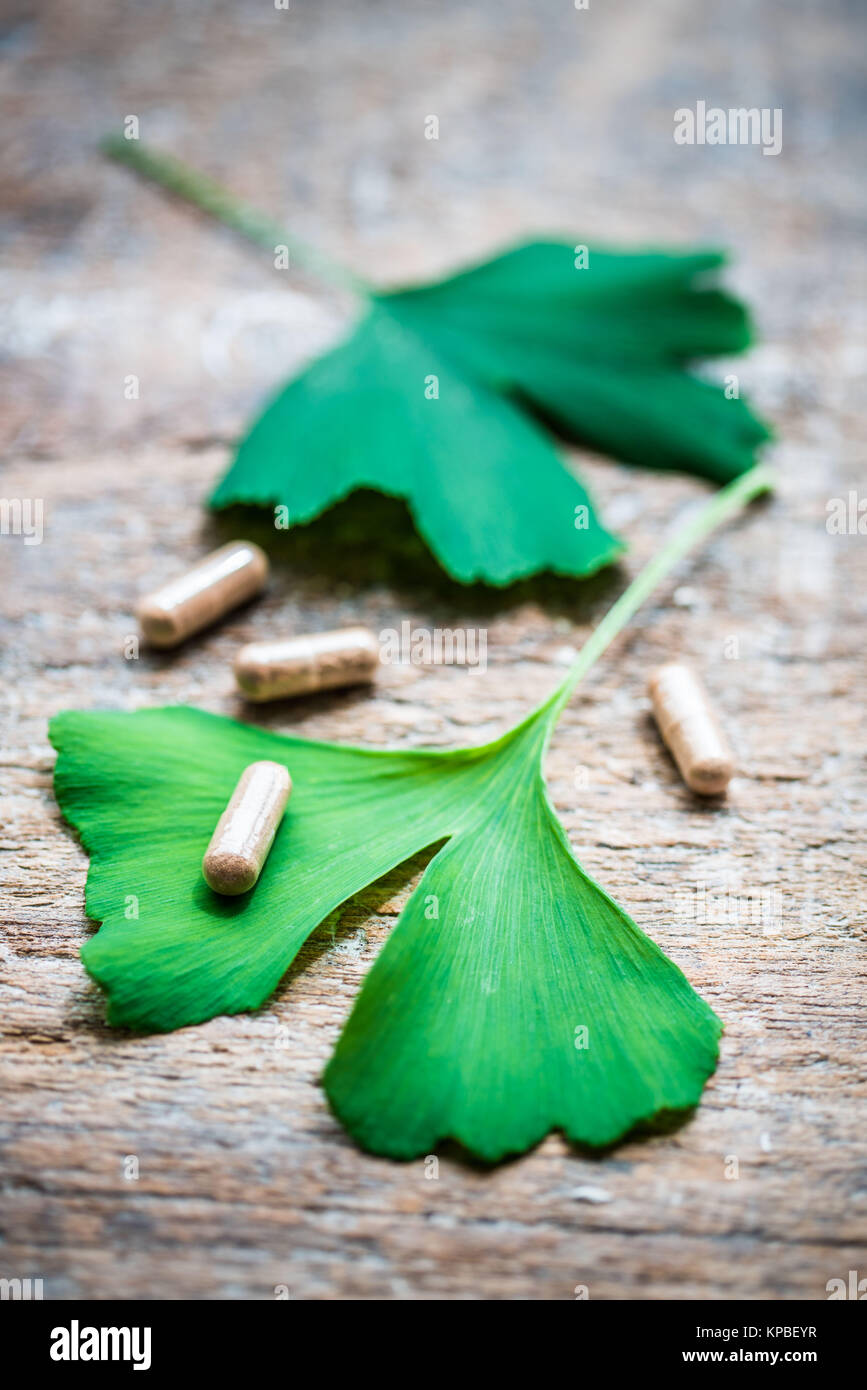 Feuilles de l'Adiante cheveux-de-(ginkgo biloba) et arbre ginkgo suppléments. Banque D'Images
