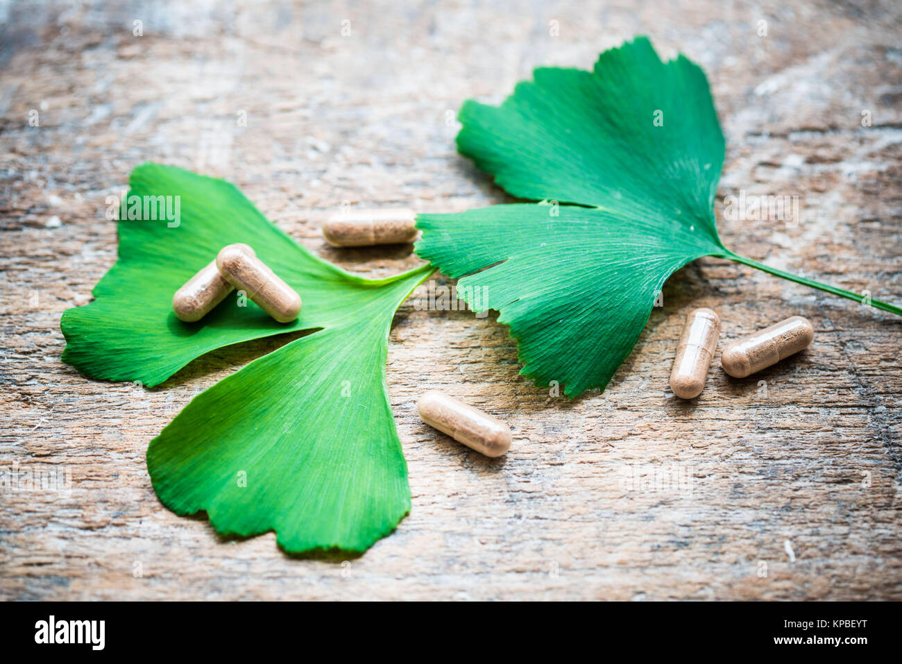 Feuilles de l'Adiante cheveux-de-(ginkgo biloba) et arbre ginkgo suppléments. Banque D'Images