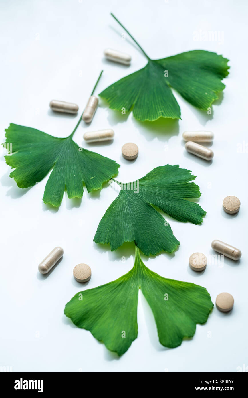 Feuilles de l'Adiante cheveux-de-(ginkgo biloba) et arbre ginkgo suppléments. Banque D'Images