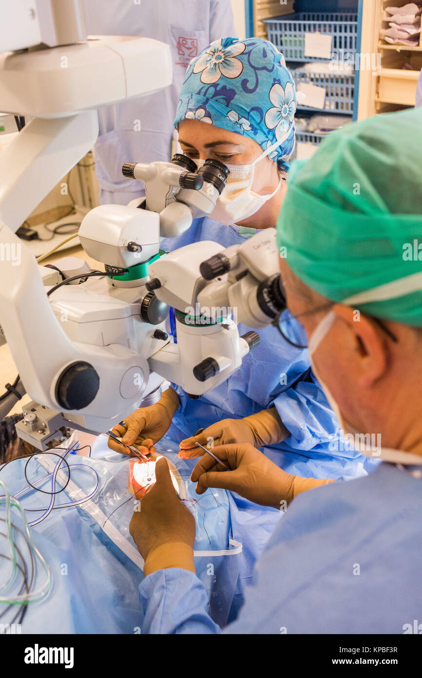 Sous anesthésie générale d'implantation d'une prothèse rétinienne Argus® II (Second Sight), service d'Ophtalmologie de l'Hôpital de Bordeaux, France. Banque D'Images