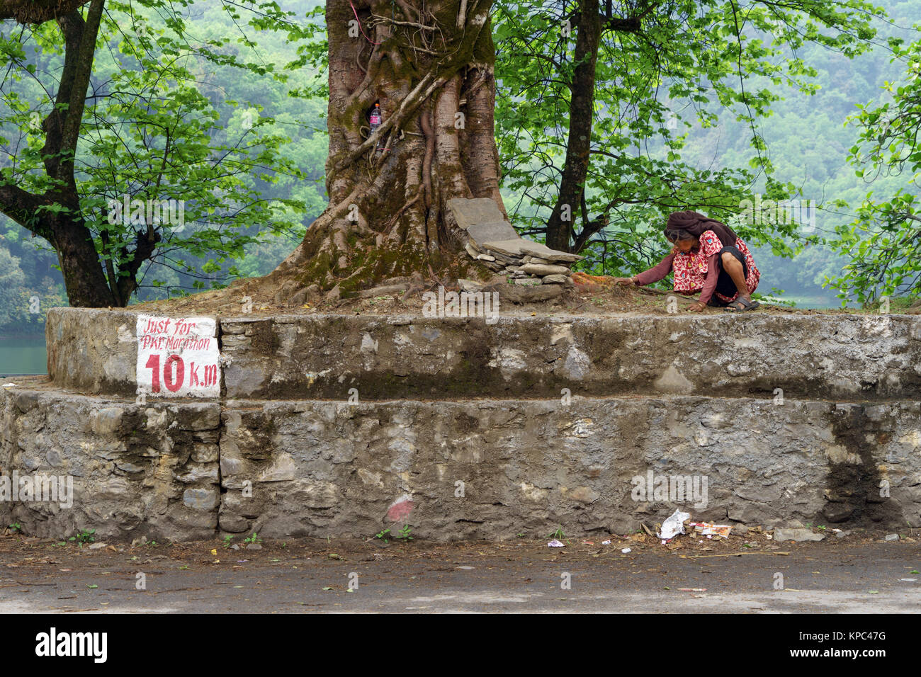 Femme priant sous un figuier sacré à Pokhara, au Népal. Banque D'Images