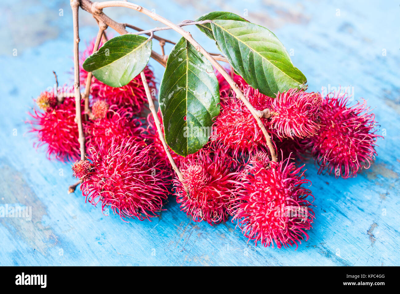 Ramboutan (nephelium lappaceum) ou le litchi poilu. Banque D'Images
