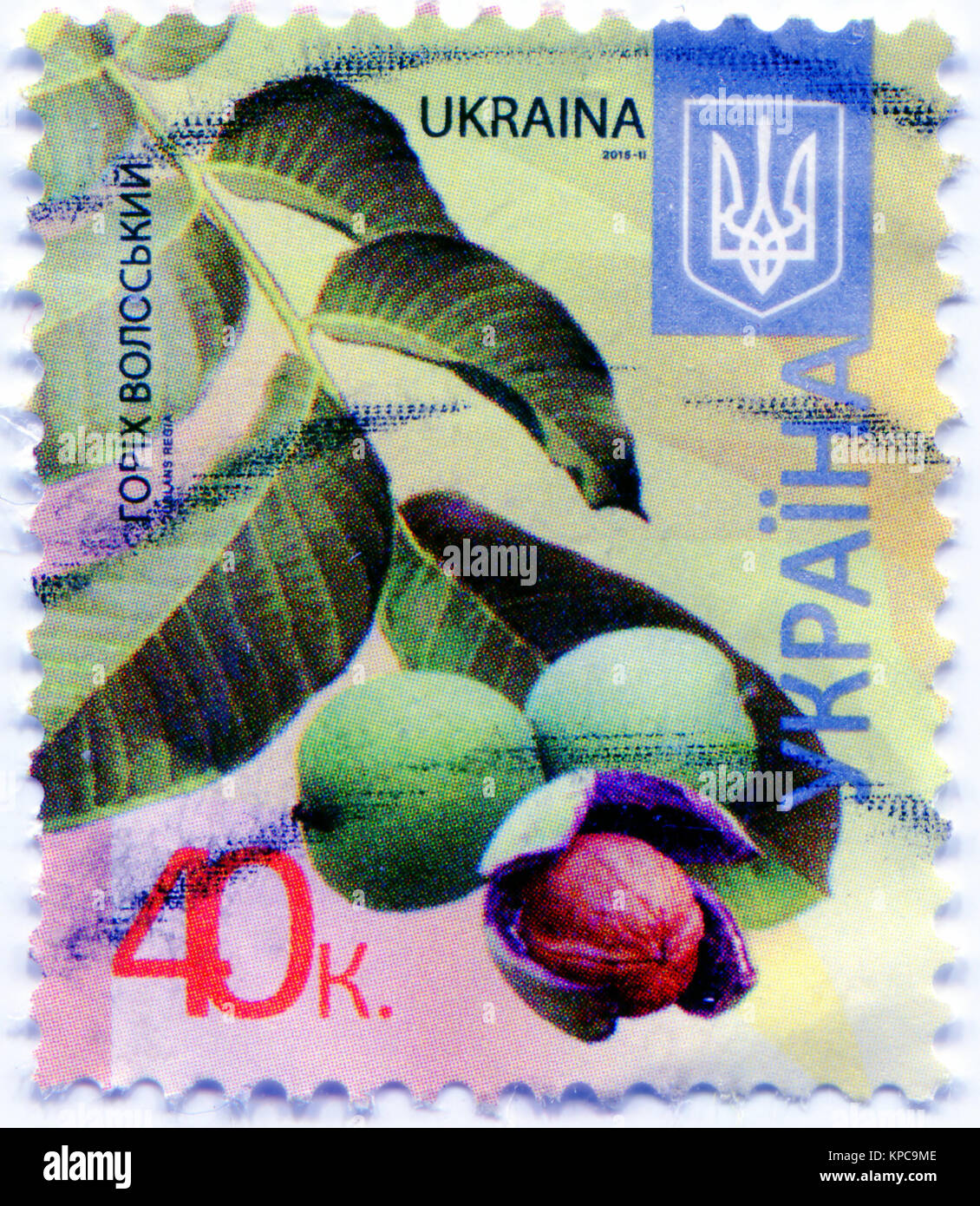 Une série de "Flore de l'Ukraine". Timbre-poste montre l'image de noyer. L'Ukraine. 2015 Banque D'Images