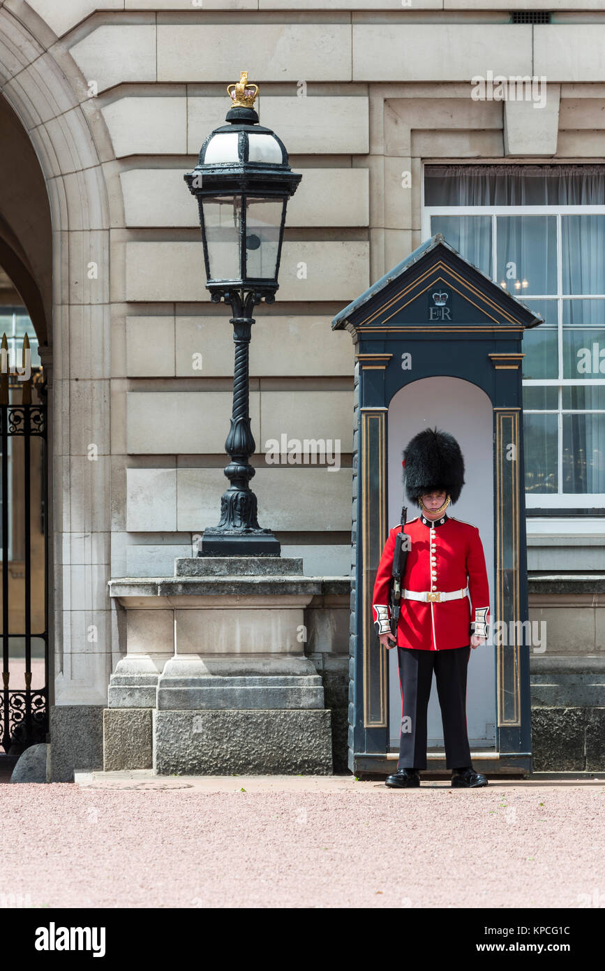 Gardien de sécurité de la Garde royale avec bearskin pac, le palais de Buckingham, Londres, Angleterre, Grande-Bretagne Banque D'Images