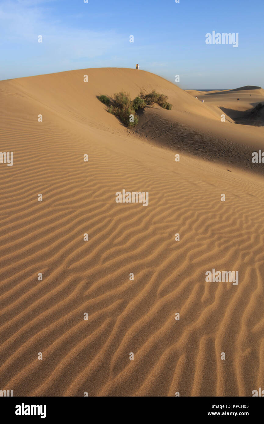 Dunes de sable de Maspalomas, Playa del Inglés Holiday Resort secteur de l'île de Gran Canaria,Spanish island, au large de la côte de l'Afrique de l'ouest décembre 2017 Banque D'Images