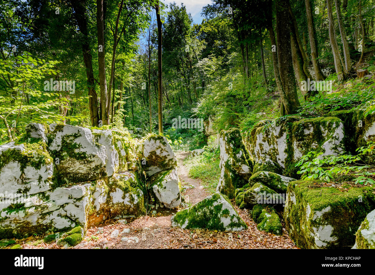 Temple mithraïque Mithraeum (II siècle) situé dans la forêt de châtaigniers, au-dessus de Rozanec Bela Krajina (Blanc Carniola) région, la Slovénie, l'Europe. Banque D'Images