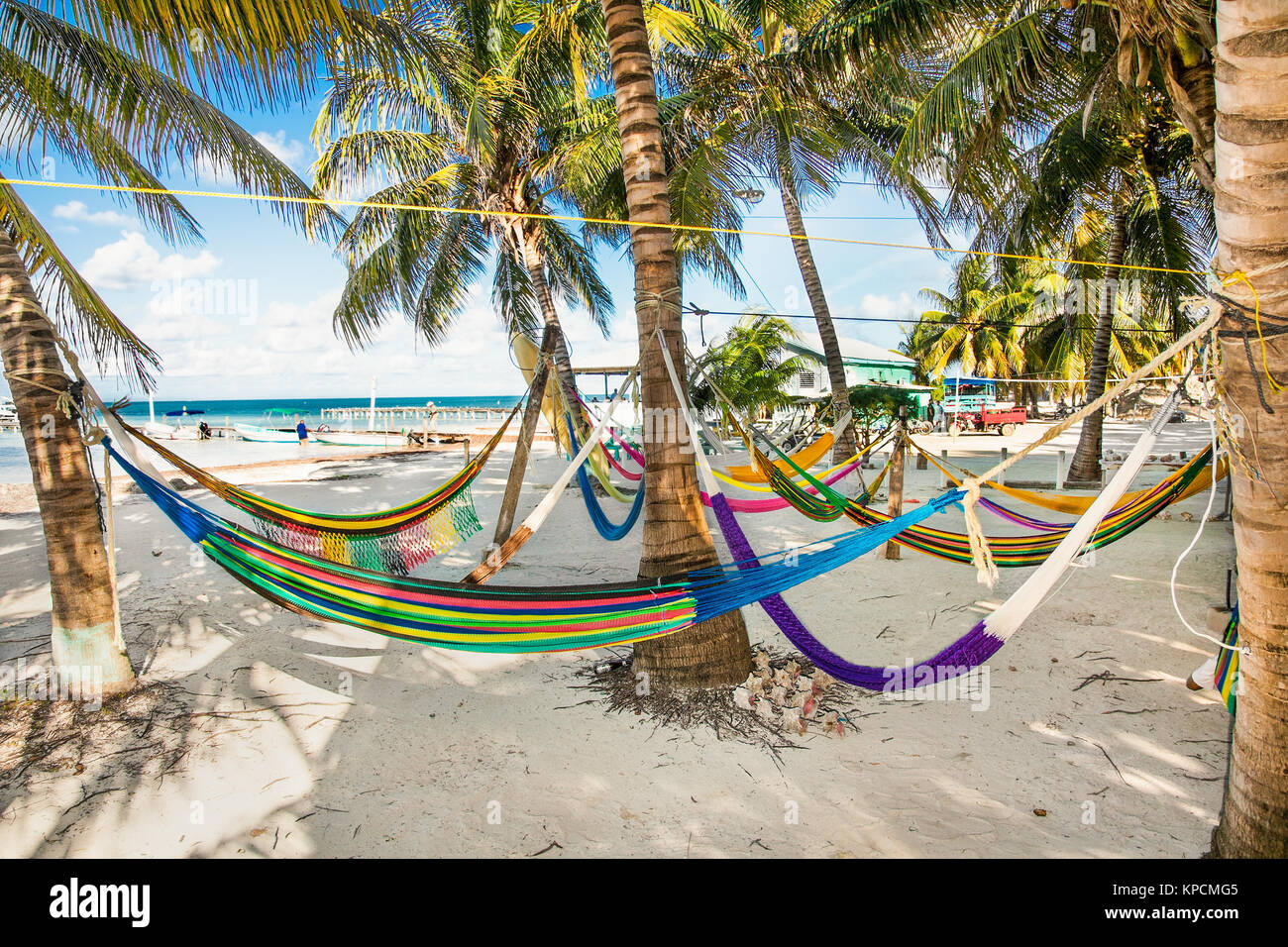 Scène Tropical- hamacs entre les palmiers sur une plage de sable, à l'île de Caye Caulker, Belize. Banque D'Images