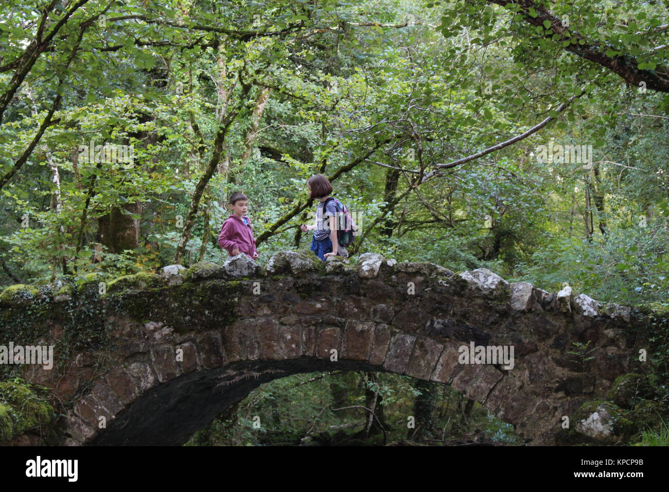 Enfants sur un pont en bois, pour les enfants à l'extérieur, pour les enfants dans les bois, les enfants dans les bois, les enfants à l'extérieur Banque D'Images