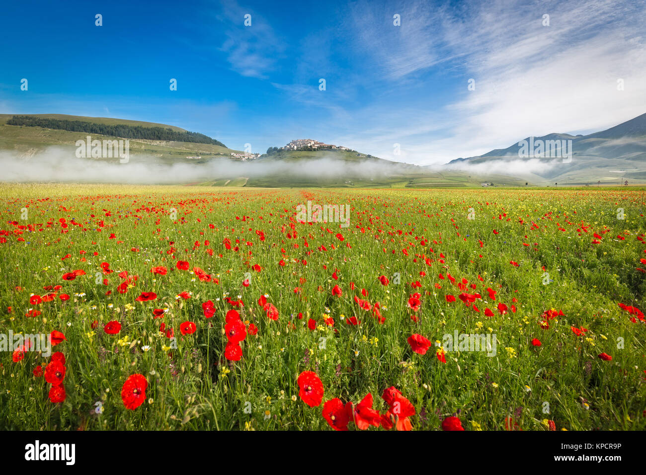 Piano à Fioritura Grande dans le brouillard du matin, Ombrie, Italie Photo  Stock - Alamy