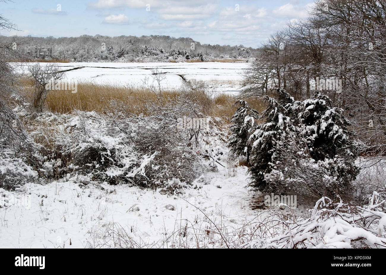 Quivet Marsh oublier dans Brewster, Massachusetts à la suite d'une chute de neige du début du printemps. Cape Cod, USA Banque D'Images
