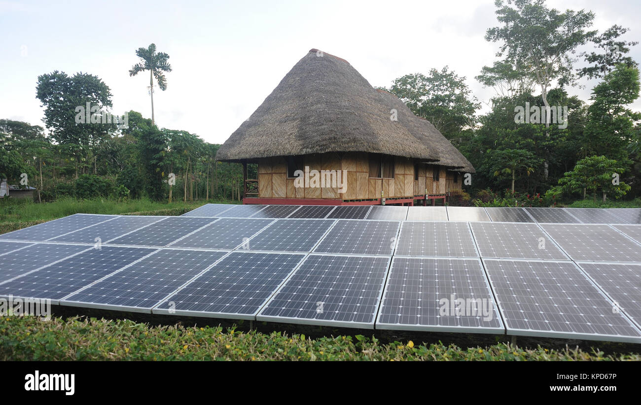 Des panneaux solaires produisent de l'électricité à l'extérieur d'une maison traditionnelle au toit de feuilles de palmier à la communauté Anangu Kichwa sur les rives de la rivière Napo. Yasuni Banque D'Images