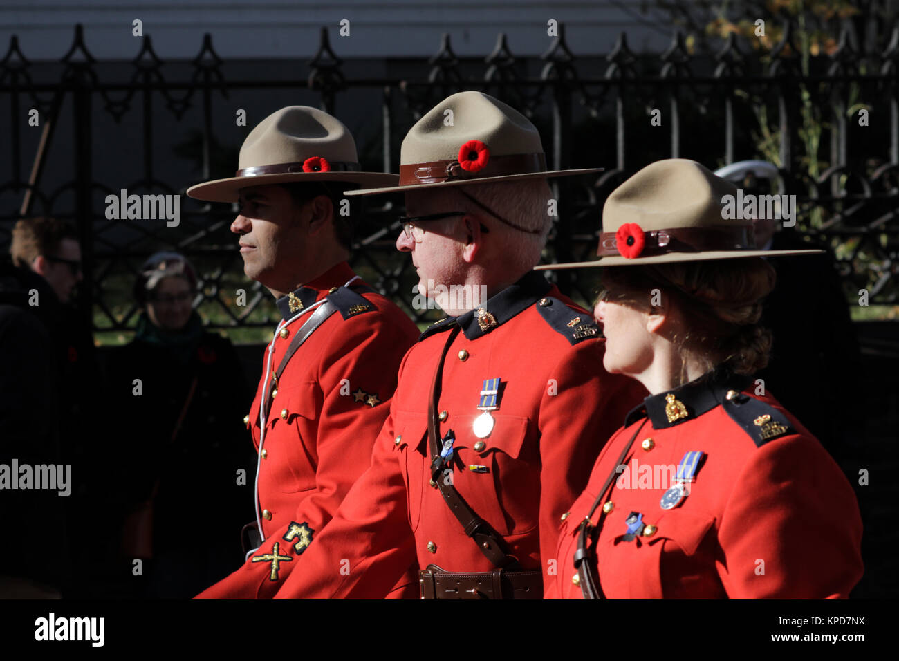 Des cérémonies du jour à Halifax, N.-É., le 11 novembre, 2017. IMAGES DE LA PRESSE CANADIENNE/Lee Brown Banque D'Images