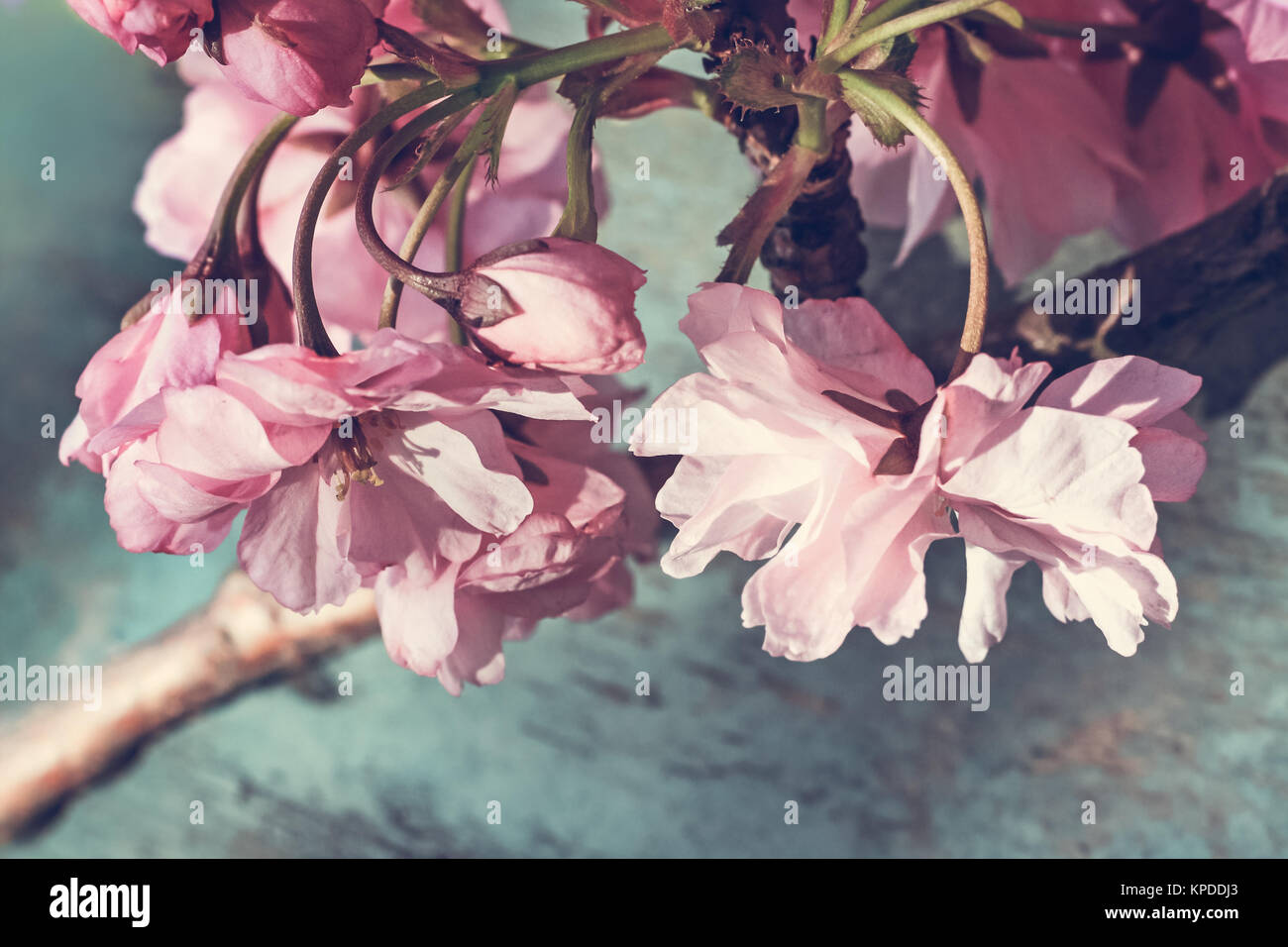 Instagram Style Banque D Image Et Photos Page 7 Alamy