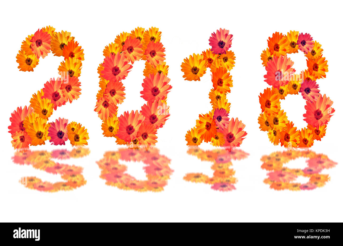 2018 nombre de fleurs,2018 changement représente la nouvelle année 2018, le chiffre de 2018 fleurs, isolé sur fond blanc Banque D'Images