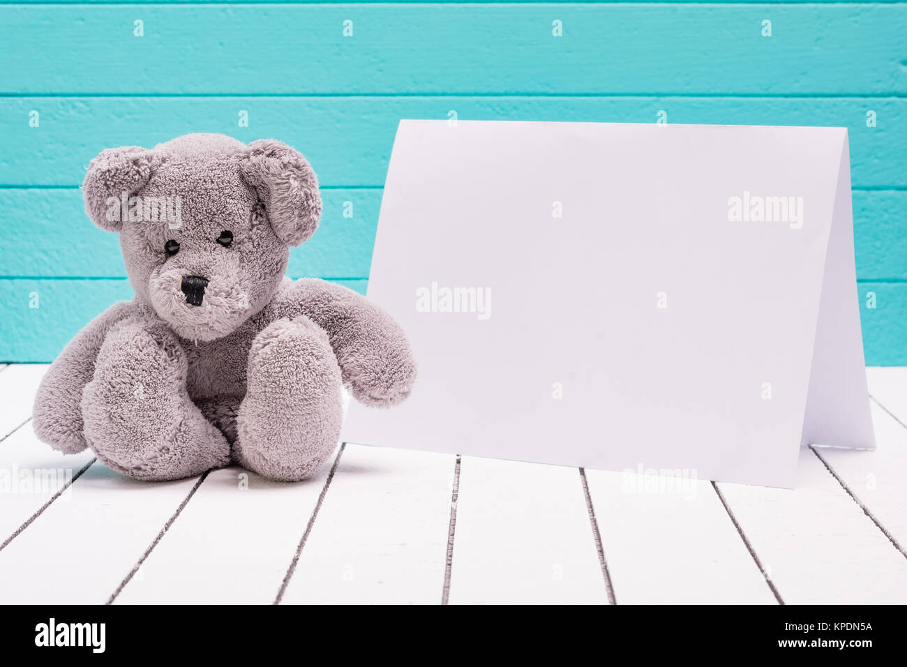 Ours assis sur un plancher en bois blanc en bleu-vert avec fond vide remarque Banque D'Images