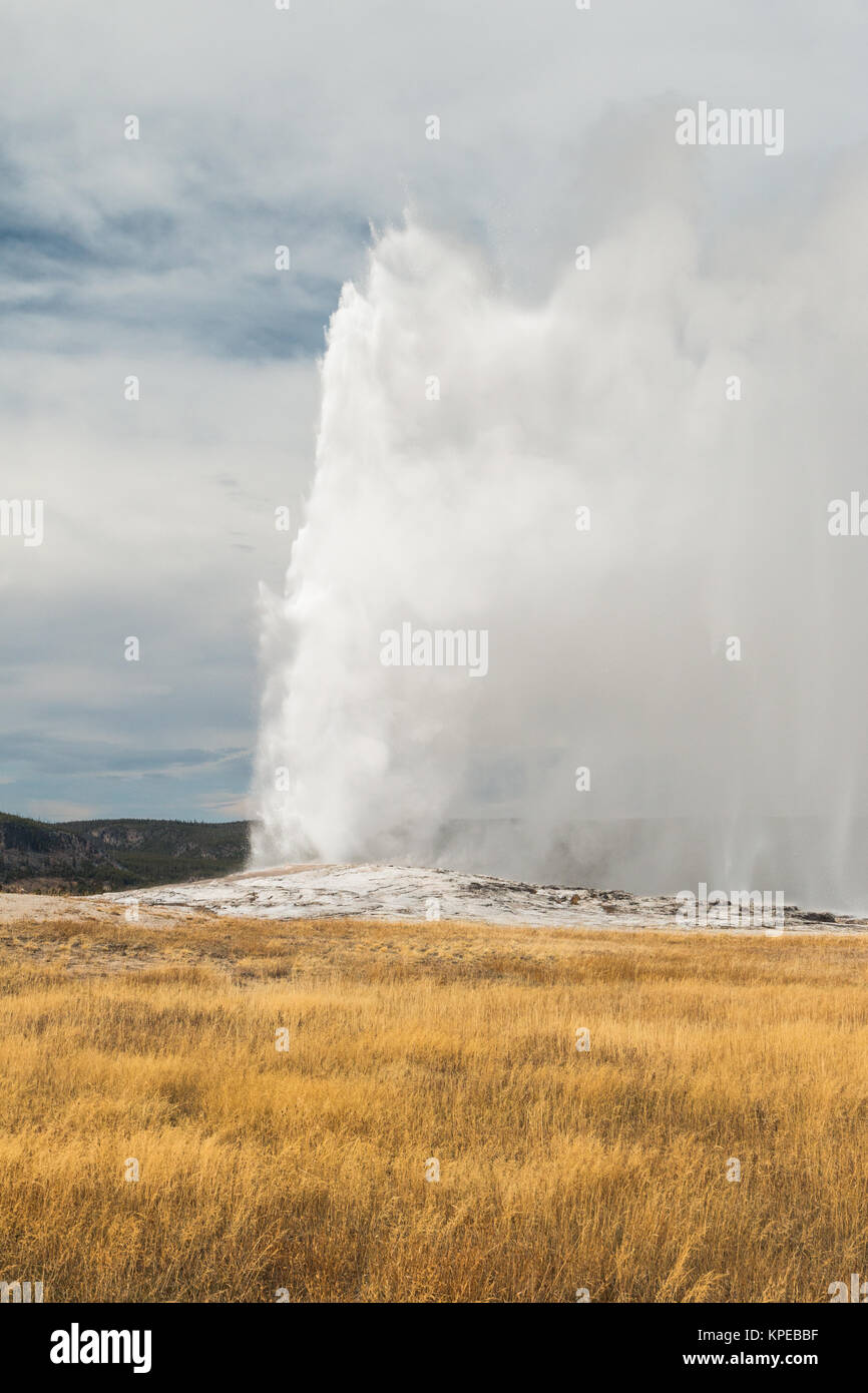 Une éruption d'automne de l'Old Faithful Geyser dans le Parc National de Yellowstone, Wyoming Banque D'Images