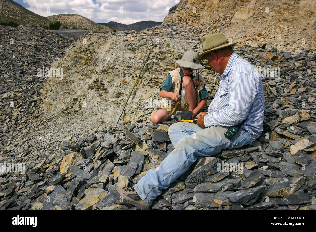 Propriétaire de la carrière montre jeune garçon comment creuser des fossiles à l'U-Dig fossiles dans Delta, Utah. Banque D'Images