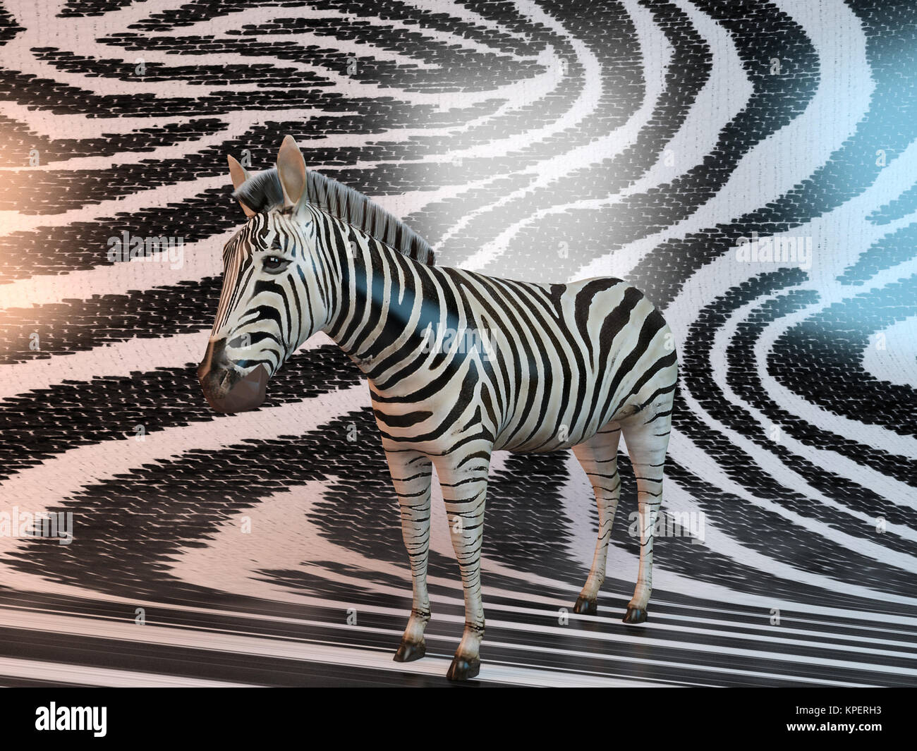 Les modèles 3d zebra Banque D'Images