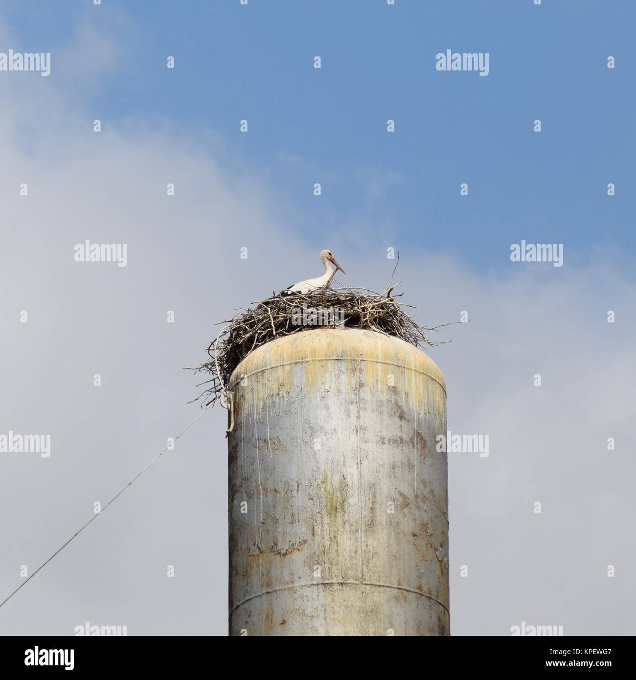 Stork sur un toit de la tour de l'eau Banque D'Images