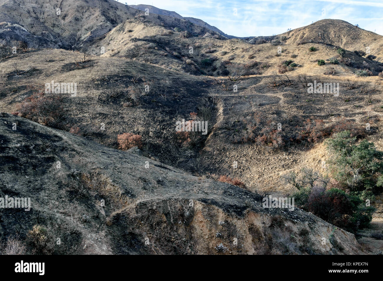 Montagnes du sud de la Californie ont brûlé des feux de friches Banque D'Images