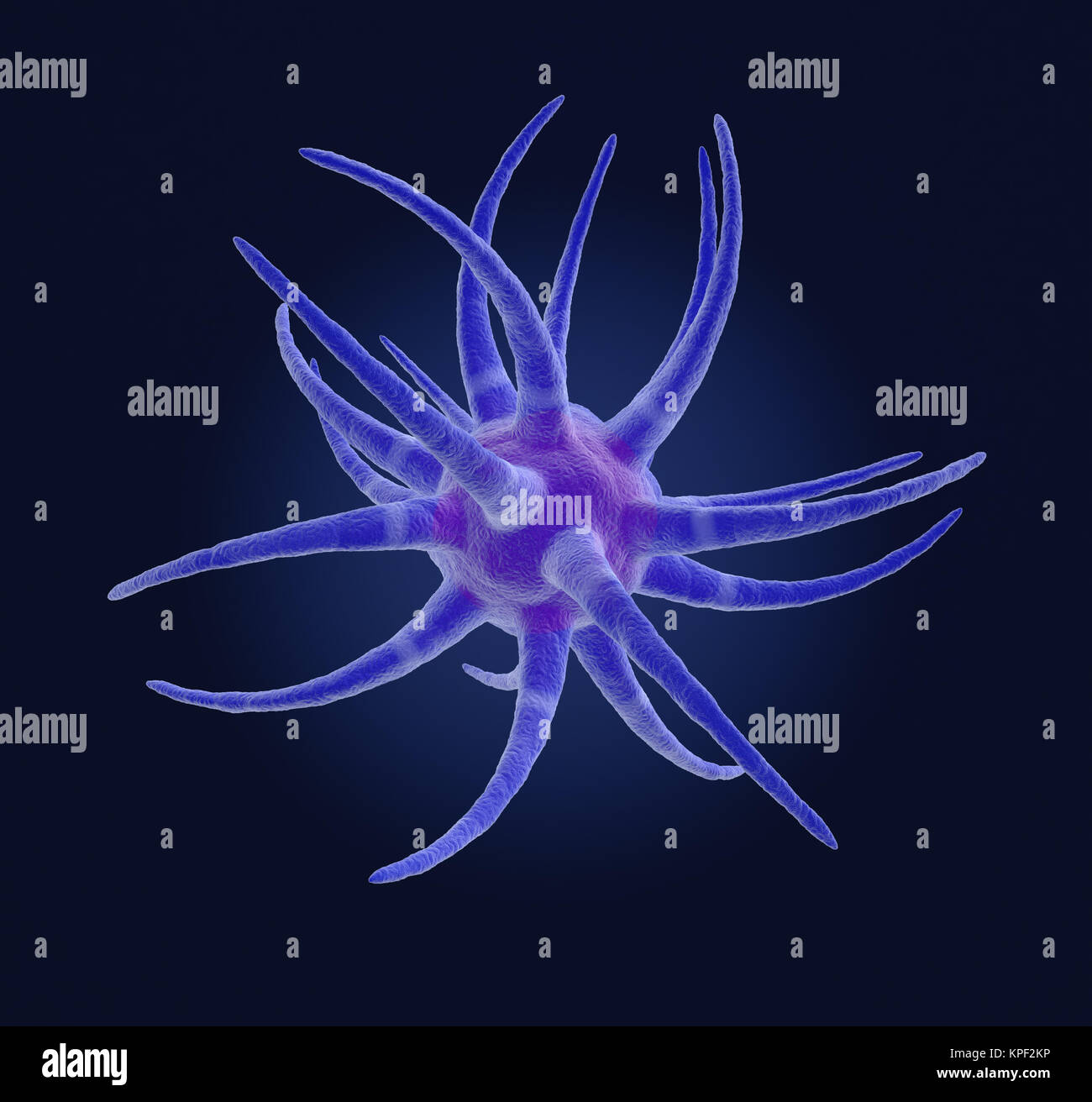 Sous le microscope, neurone Banque D'Images