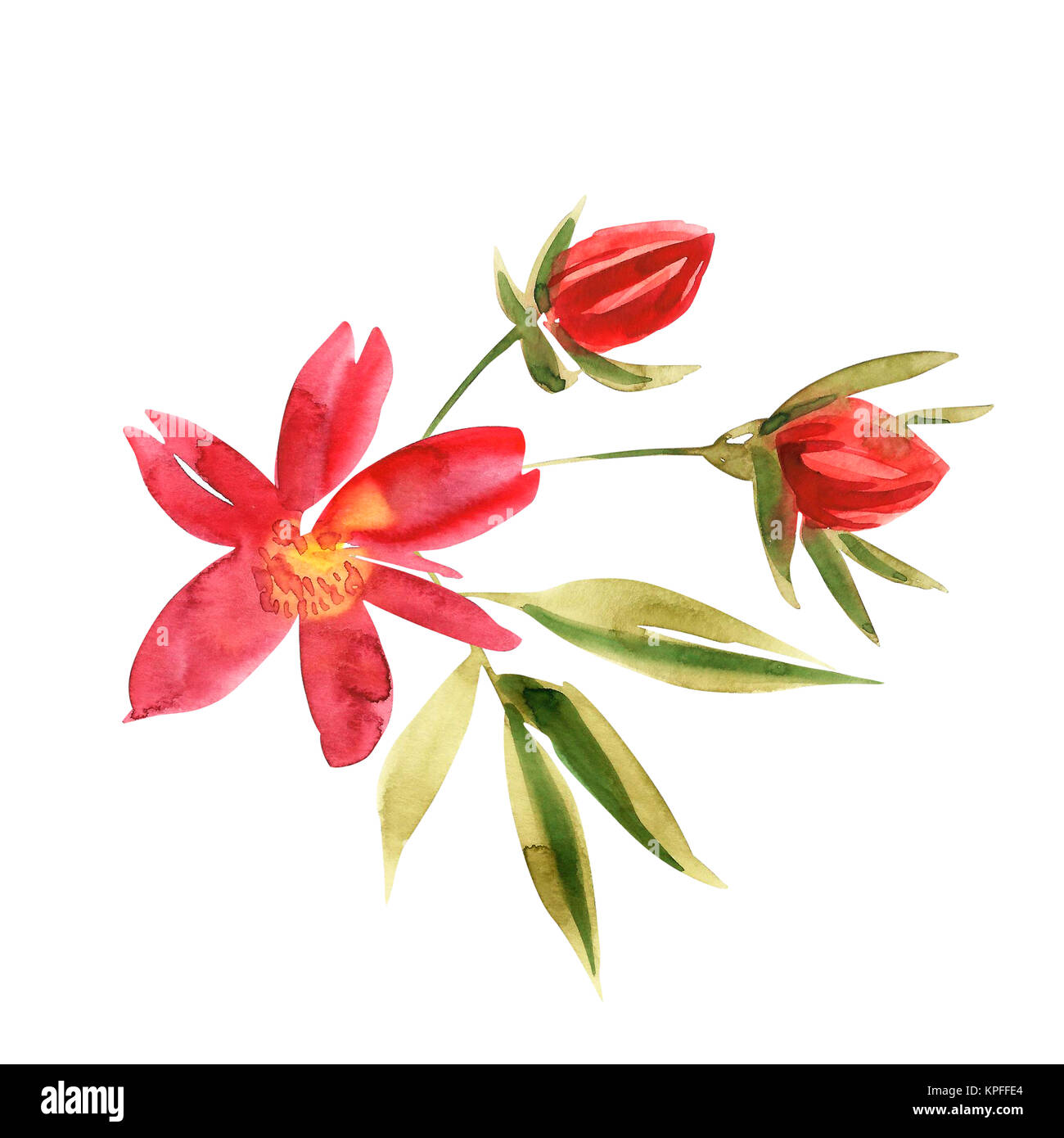 Jolie Aquarelle Fleurs Roses Peintes A La Main Invitation Carte De Mariage Carte D Anniversaire Photo Stock Alamy Jolie Aquarelle Fleurs Roses Peintes A La Main Invitation Carte De Mariage Carte D Anniversaire Photo Stock Alamy