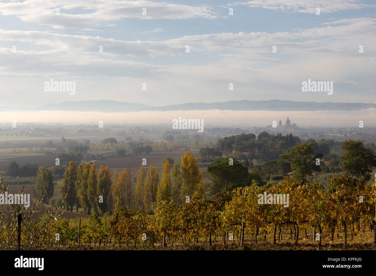 La vallée de l'Ombrie à l'aube, avec S.Maria degli Angeli (assise) à la distance au milieu du brouillard, et les vignes et arbres aux couleurs de l'automne en t Banque D'Images