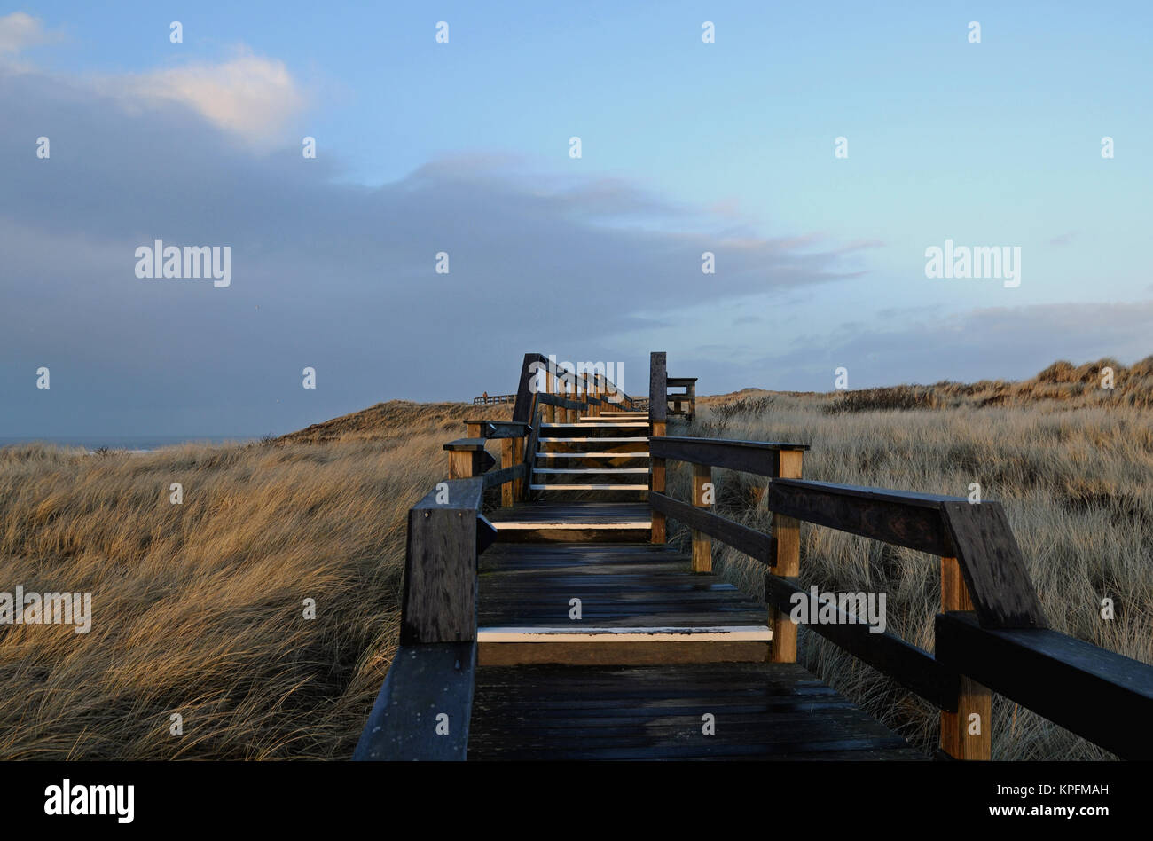 Chemin de planches en bois Banque D'Images