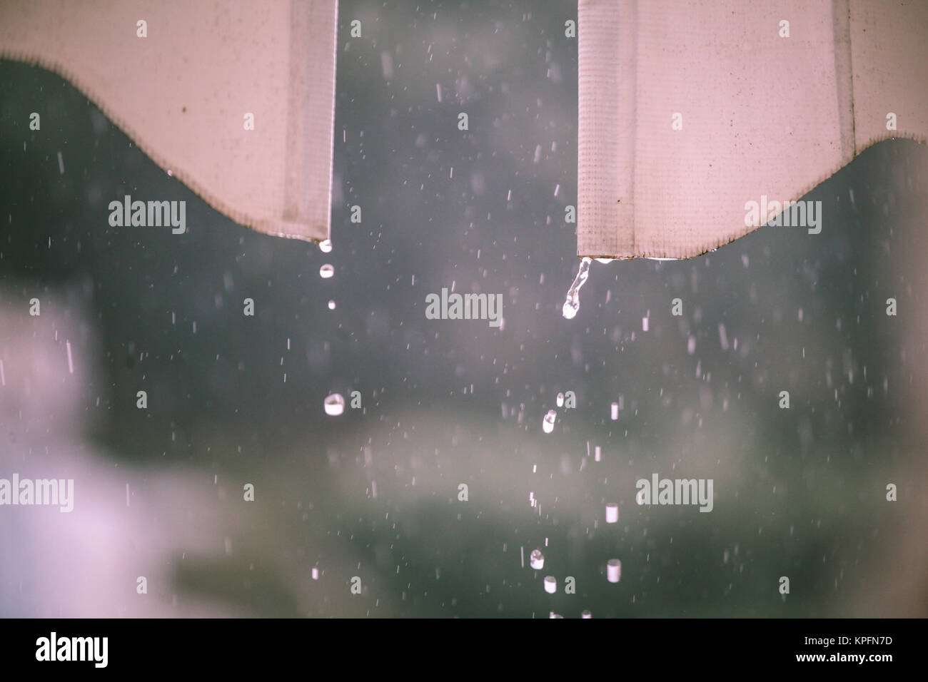Gouttes de pluie Banque D'Images