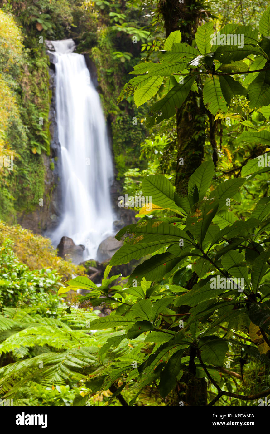 La DOMINIQUE, Roseau, Roseau Valley, Trafalgar Falls Banque D'Images