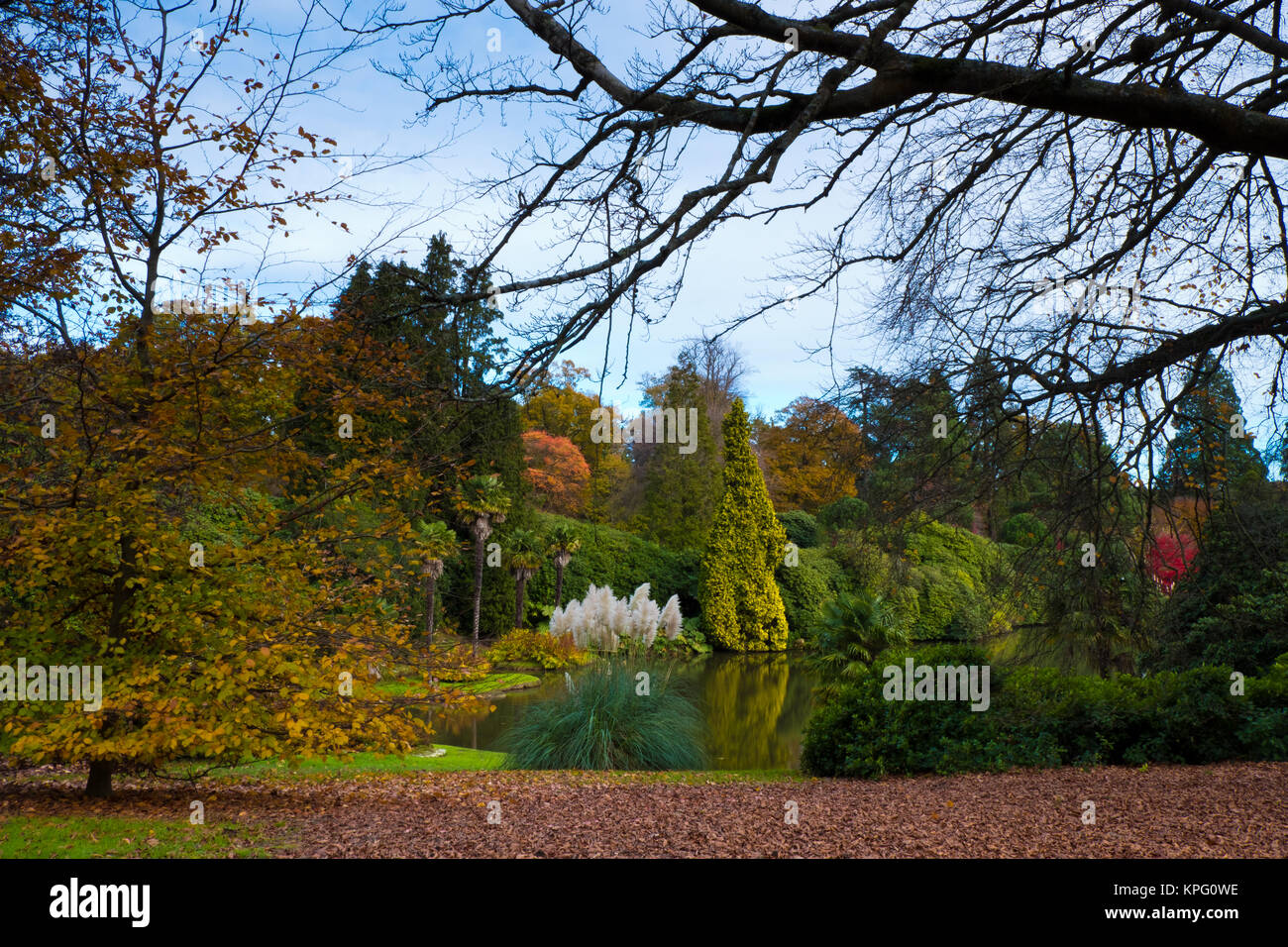 Sheffield Park Gardens, East Sussex, Angleterre Banque D'Images