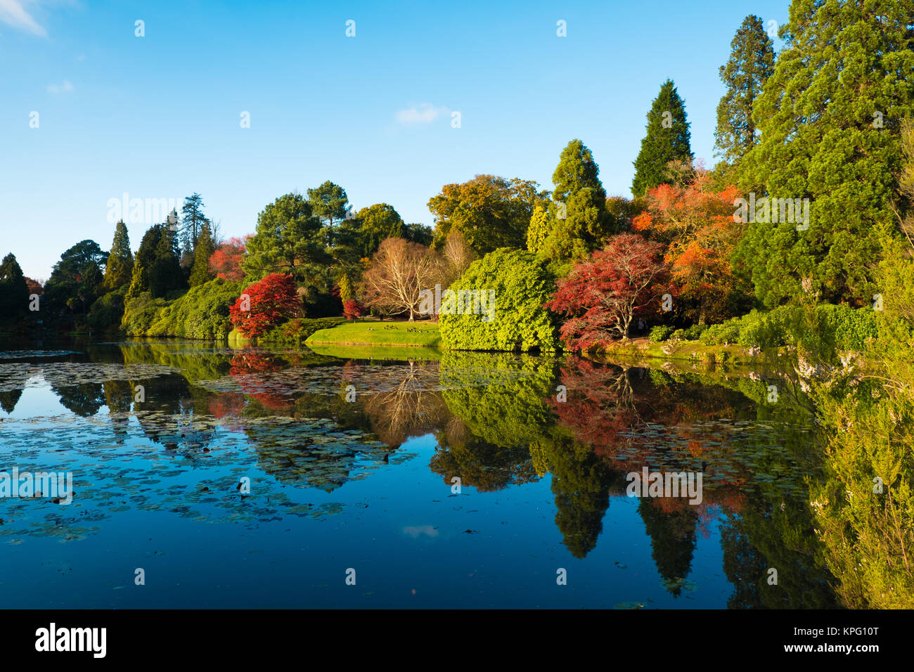 Sheffield Park Gardens, East Sussex, Angleterre Banque D'Images