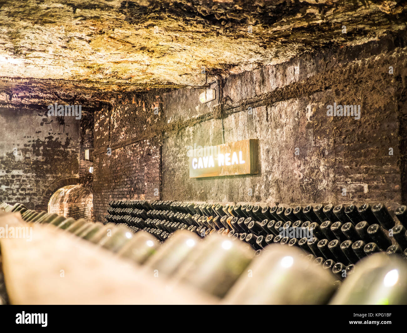 Sant Sadurni, Espagne - 18 Avril 2014 : Le Cava Cava Royal (réel) à l'intérieur de la cava Freixenet. Banque D'Images