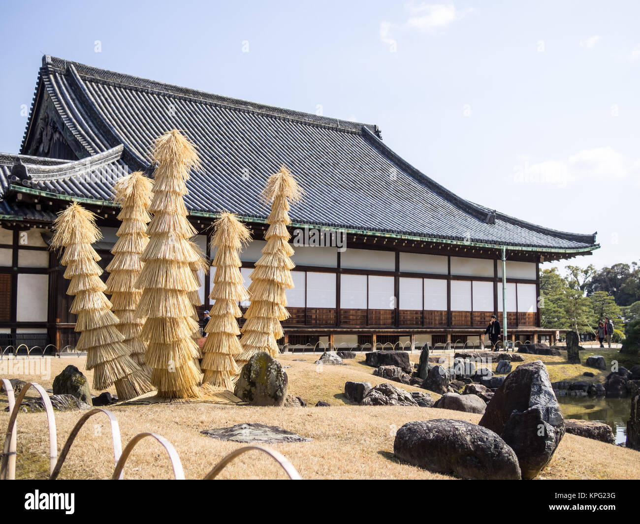 Arbres couverts et protégés contre le froid de l'hiver les températures dans le château de Nijo, Kyoto, Japon Banque D'Images