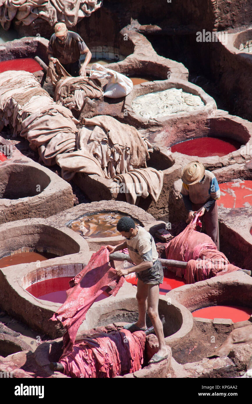 Cuves de teinture du cuir, Fes medina, Maroc Banque D'Images