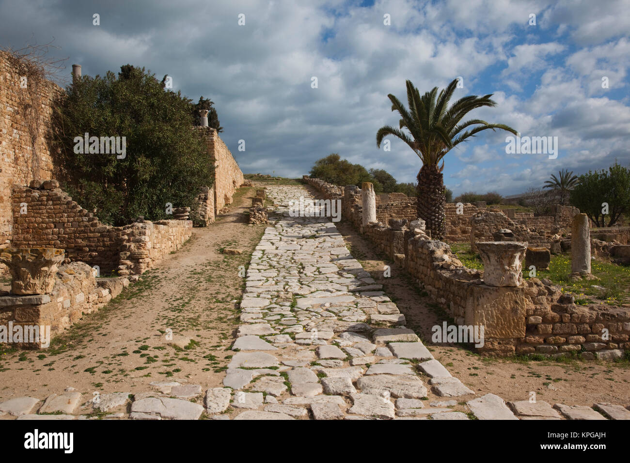 Tunisie, Tunis, Carthage, ruines de, de villas romaines Banque D'Images