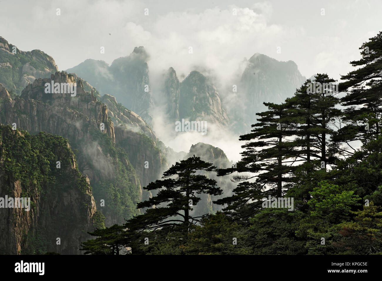 Mist entre les sommets et les vallées de Grand Canyon en mer de l'Ouest, Mt. Huang Shan ou montagne jaune Banque D'Images