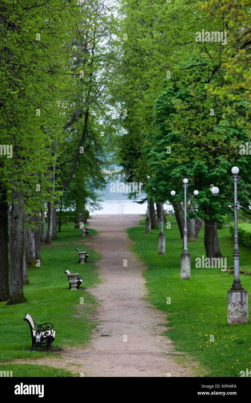 L'Estonie, le sud-est de l'Estonie, Voru, Kateriina allee, chemin bordé d'arbres Banque D'Images