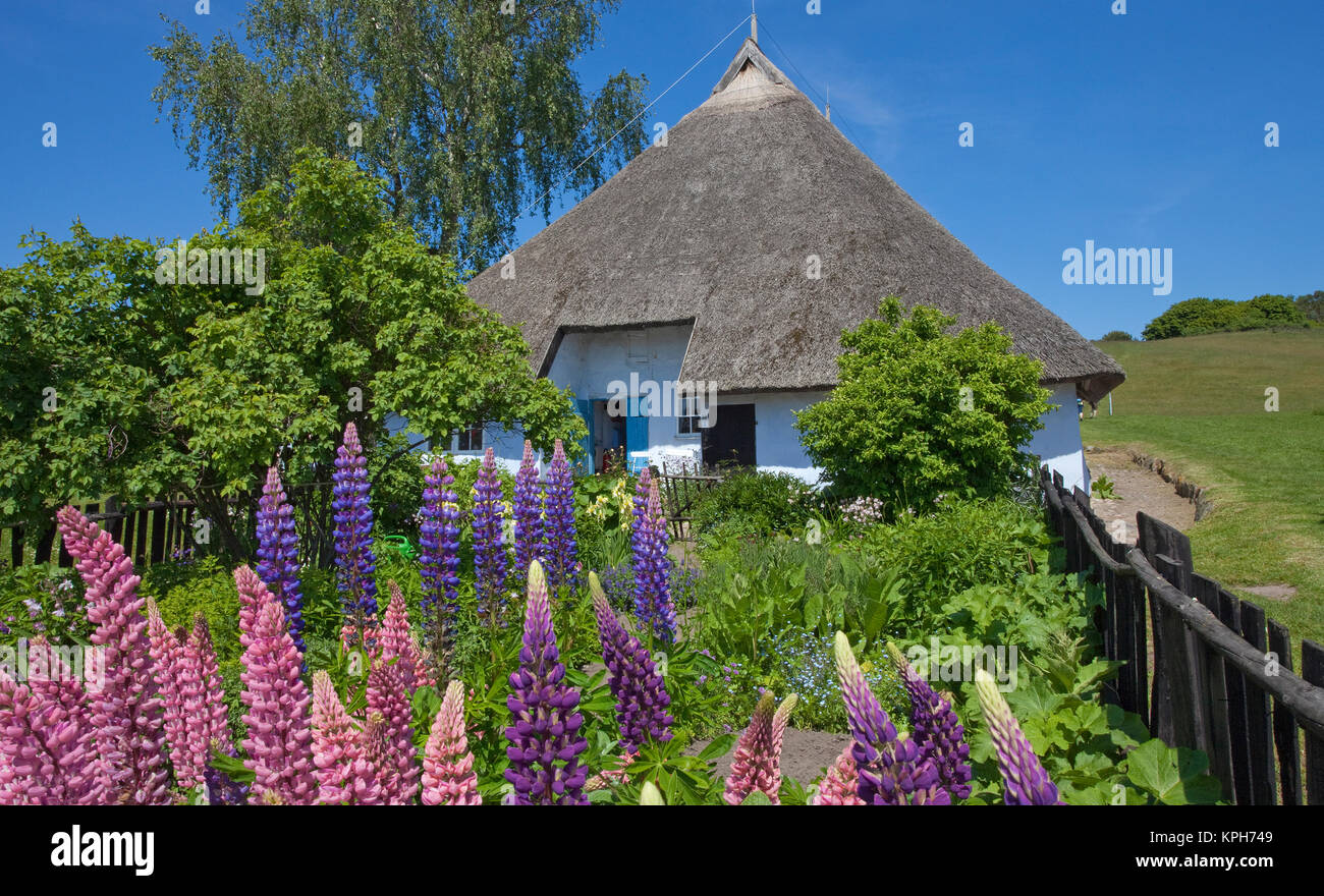 Les veuves de la paroisse maison avec jardin de fleurs, Gross Zicker, Ruegen island, Mecklembourg-Poméranie-Occidentale, de la mer Baltique, l'Allemagne, de l'Europe Banque D'Images
