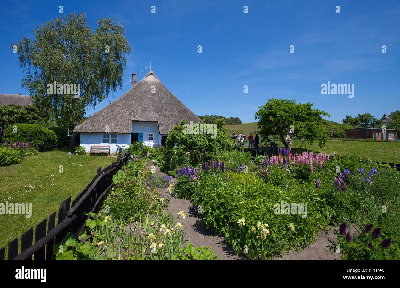 Les veuves de la paroisse maison avec jardin de fleurs, Gross Zicker, Ruegen island, Mecklembourg-Poméranie-Occidentale, de la mer Baltique, l'Allemagne, de l'Europe Banque D'Images