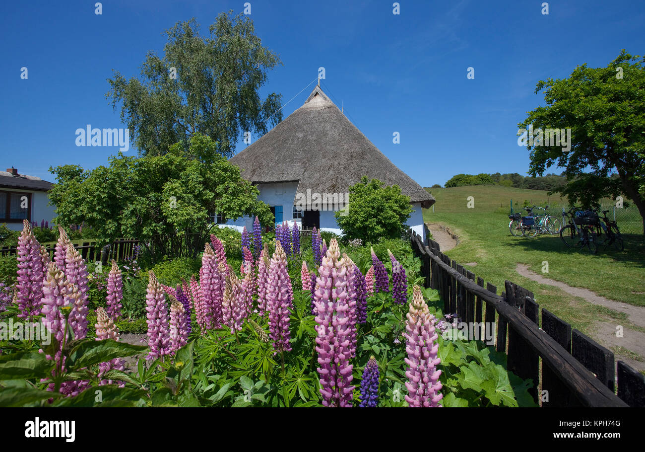 Les veuves de la paroisse maison avec jardin de fleurs, Gross Zicker, Ruegen island, Mecklembourg-Poméranie-Occidentale, de la mer Baltique, l'Allemagne, de l'Europe Banque D'Images