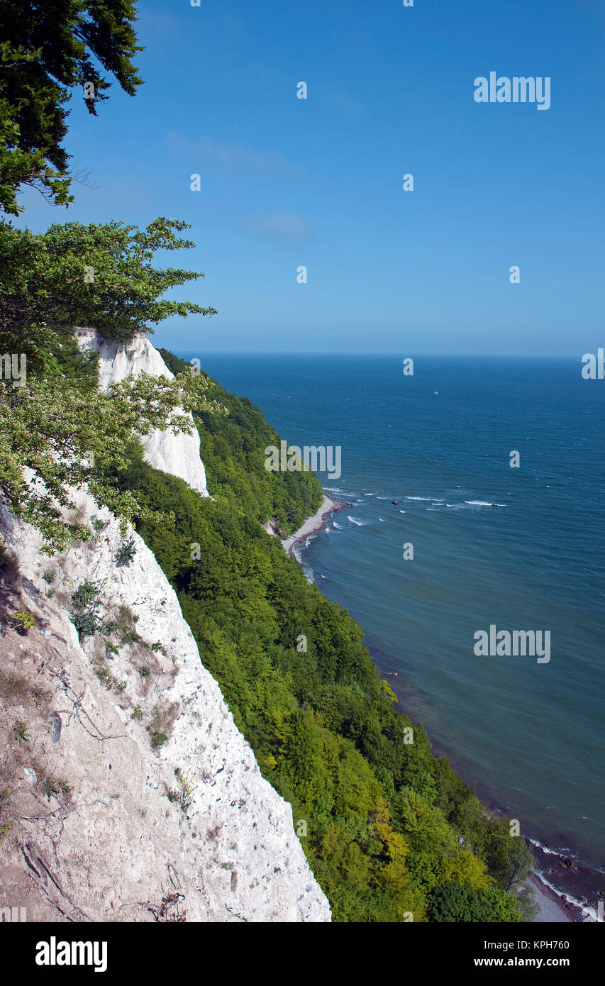 Avis sur "Koenigsstuhl (président) des rois de craie au parc national de Jasmund, Ruegen island, Mecklembourg-Poméranie-Occidentale, Mer Baltique, Allemagne Banque D'Images